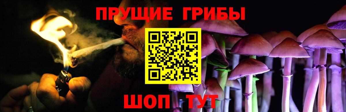 Карасук  Псилоцибиновые грибы мухоморы  Вход с VPN 